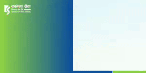 spot_img