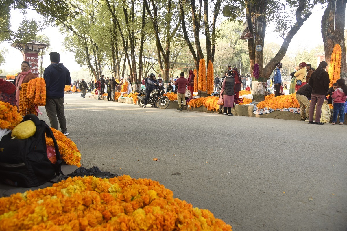 तिहारमा फूल र माला बेच्न काठमाडौँ महानगरले तोक्यो ३२ ठाउँ, स्वदेशी नै प्रयोग गर्न आग्रह